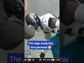 Jags waiving terrible towels in Pittsburgh after an INT #shorts #nfl