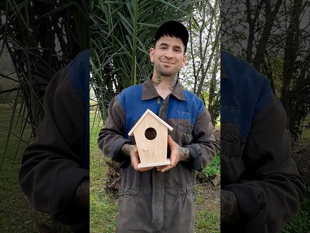 Vídeo relacionado con Casetas para Aves Exteriores, Refugio Natural para Palomas, Refugio Aves para Patio Parque Jardín Hábitat Cría