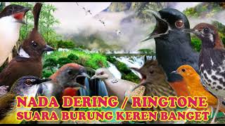 Download lagu KICAUAN SIKATAN LONDO NADA DERING||RINGTONE SUARA BURUNG MERDU BANGET SUARA JERNIH mp3