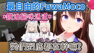 Re: [問題] R團的訂閱數