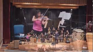 Rhythm of the Rainforest