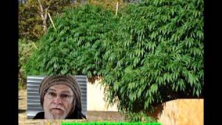 Marijuana Music Video: The Keeper In Modoc County California