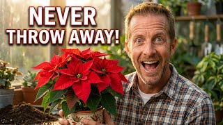 Your Poinsettia Doesn't Have to Die After Christmas