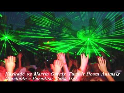Kaskade vs Martin Garrix   Turn It Down Animals Kaskade's Paradiso Mash Up