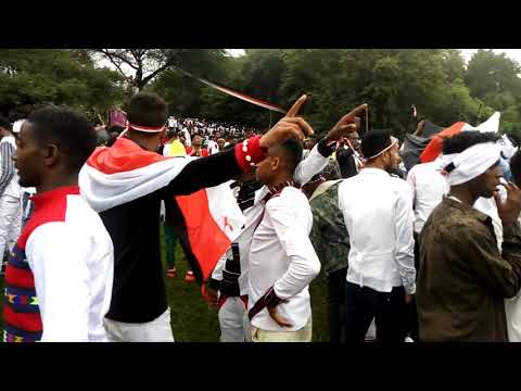 irreechaa Finfinnee kan baraa 2014