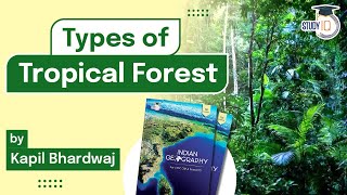 What is Tropical forest &amp; Type of Tropical forest found in India | Principles of Indian geography
