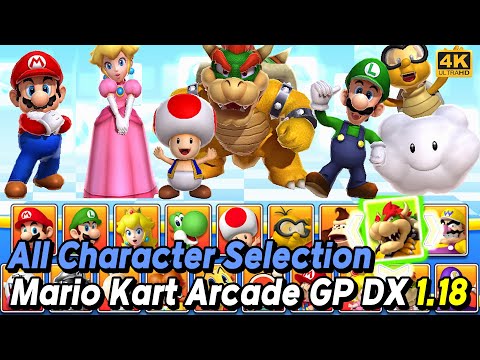 Mario Kart Arcade GP DX 1.18 All Character Selection