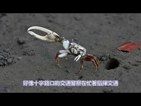 ☺ 圖片待補 ☺