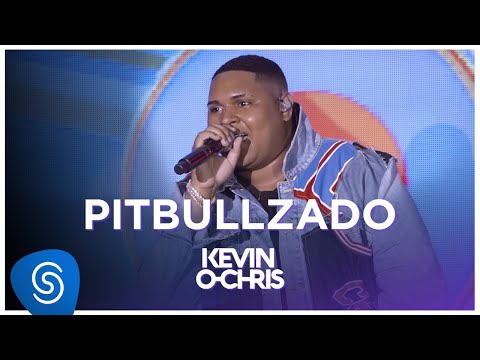 Video thumbnail for Pitbullzado (Ao Vivo)