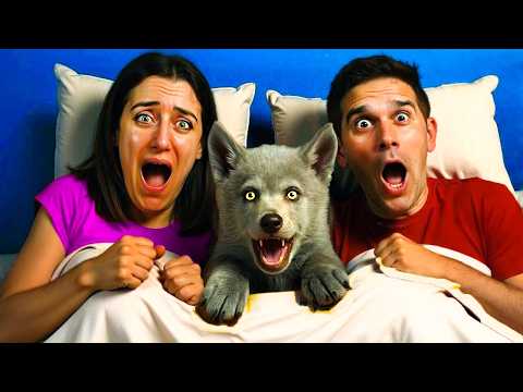 C'È UN CUCCIOLO DI LUPO MANNARO IN CASA!!!