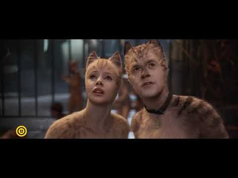 Macskák trailer