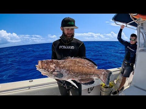 Grouper Opener | Commercial Spearfishing | You Can Order The Fish We Speared