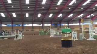 preview picture of video 'Star Cavan Easter show'