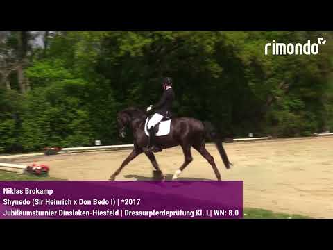 BuCha-Quali Dinslaken-Hiesfeld – Niklas Brokamp & Shynedo