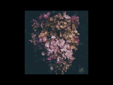 23. cxld blxxd - pictures of you [16.06.2018]