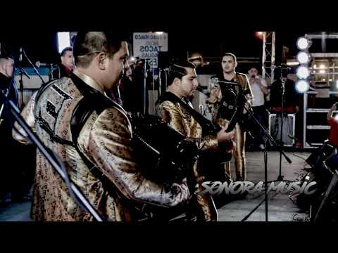 Enigma Norteño - Armando Lopez (El L)
