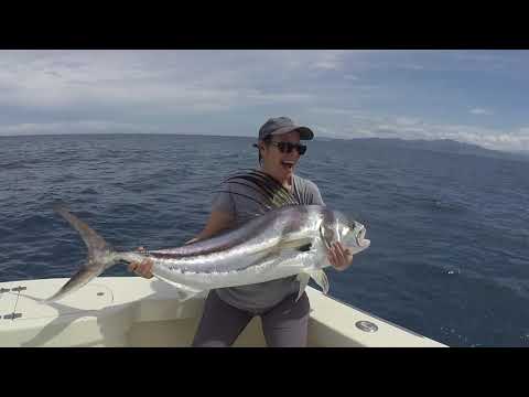 download lagu mp3 mp4 Roosterfish Costa Rica, download lagu Roosterfish Costa Rica gratis, unduh video klip Roosterfish Costa Rica