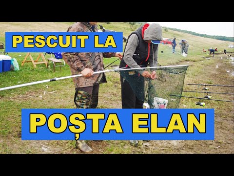 Pescuit la crap baraj Posta Elan Vaslui