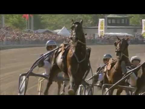 Årets Häst 2011 BRIONI - "Hästgalan 2012"