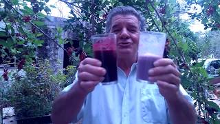 Voce conhece a fruta da longevidade?