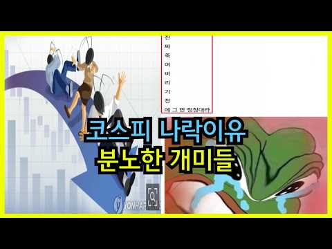 추락하는 코스피 & 분노한 사람들