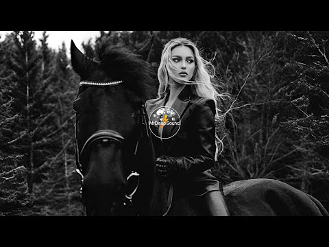 Reflekt Vs ZHU - Faded To Feel Love (Sandro Vanniel Mashup)