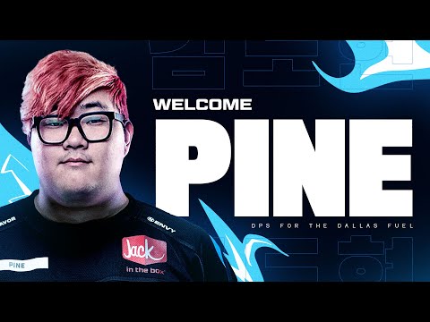 Welcome Pine!