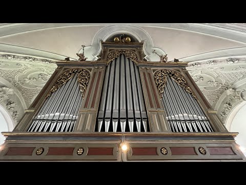 TOUR OF STOPS: Josef-Aigner organ - St. Georgenberg Abbey