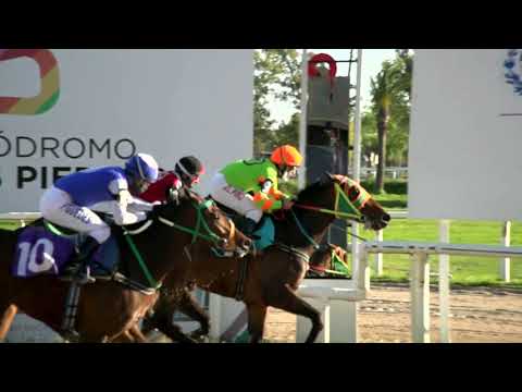 211015 c09 - DESAFORADA - HIPODROMO LAS PIEDRAS
