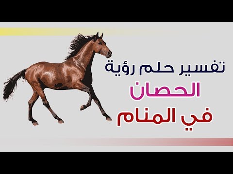 شاهد ماذا سوف يحدث لك عند رؤية الحصان في المنام، تعرف علي المفاجاة