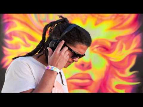 DJ Shane Gobi Boom Festival 2012 Set