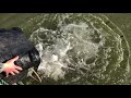 IMG 4526