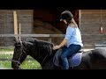 Up to 58% Horseback-Riding Lessons at Timbermist Farm