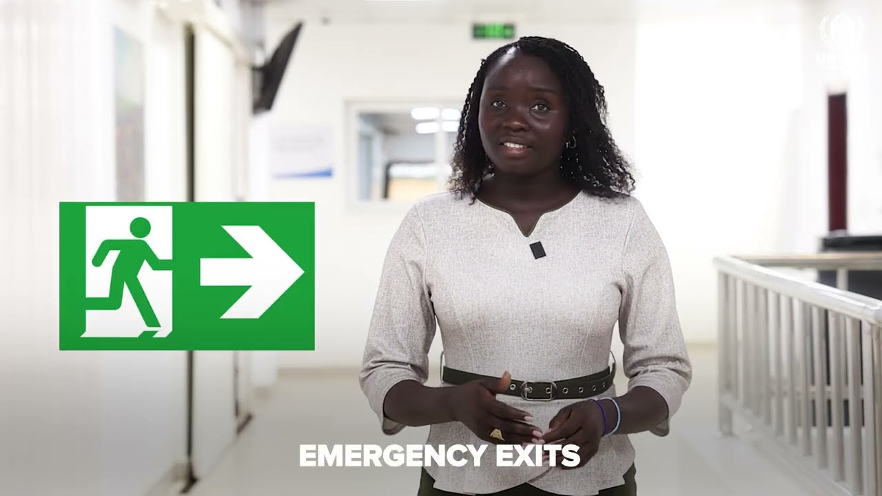 What do emergency exits and the right to seek asylum have in common?