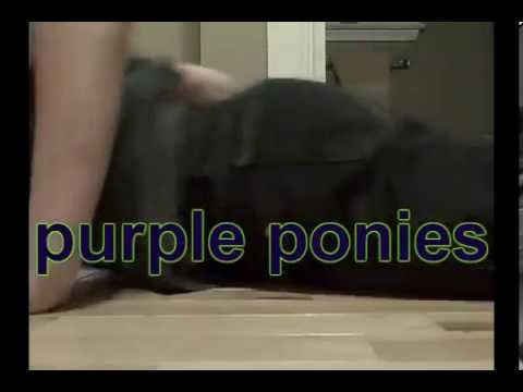 Purple Ponies Music Video! (REUPLOAD)