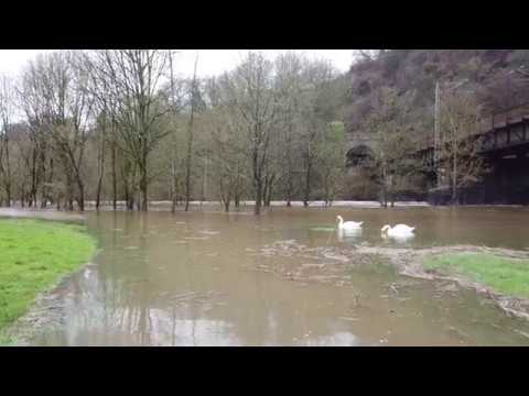 2019-03-16 Hochwasser Sieg
