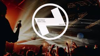 Dirtydisco - What U Feel