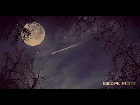 Video thumbnail for Somehow the Wonder of Life Prevails