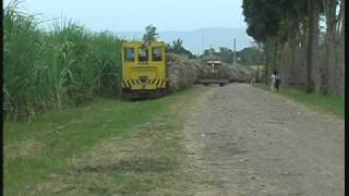 preview picture of video 'フィリピン　ネグロス島　Bais市 Rosarioのサトウキビ列車'