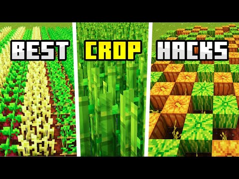 Insane Crop Hacks You Need for Farming!