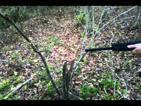 Saiga 12 cuts down tree