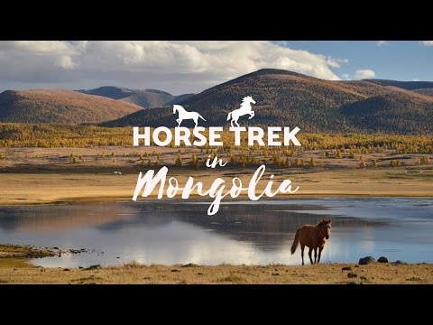 , title : 'Horse Trek in Mongolia | 4 day tour'