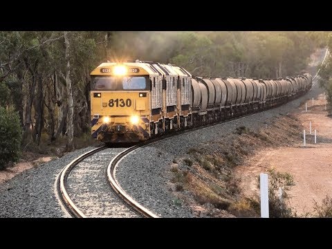 8130-8144-8165 on 7937V empty to Murrayville nearing red signal at Maryborough.  26-02-19. 19.43.56.