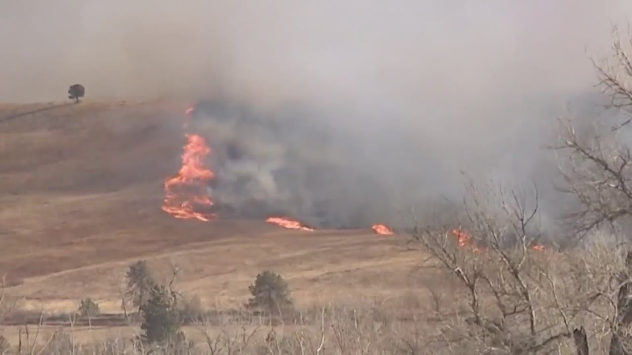 Boulder County expanding wildfire mitigation staff
