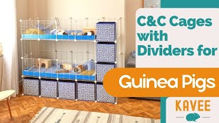 NEW Launch At Kavee: C and C Cages with Dividers for Guinea Pigs