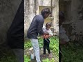 Last Badlapur Rape Case ️‍ Savegirlchild Disclaimer This Video Is Only For Awareness