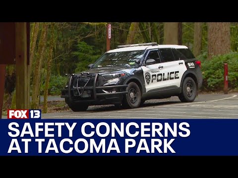 Safety concerns at Tacoma's Point Defiance Park | FOX 13 Seattle
