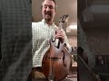 Eastman Mandolins from a SETUP perspective!