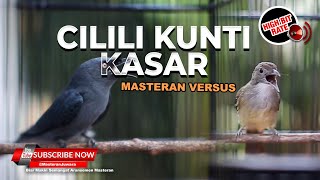 Download lagu 🔴Kompilasi Masteran Srigunting Abu Abu Isian Cililin Kunti vs Kapas Tembak Gacor Kasar mp3