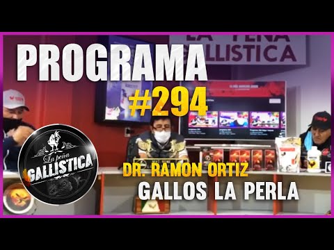 programa 294-DR RAMON ORTIZ